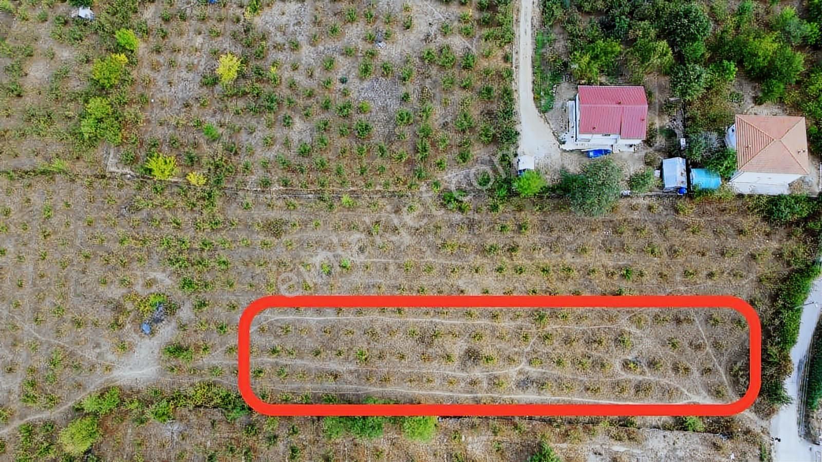 Yön Group'tan Mesudiye'de İmar Sınırında Satılık Arsa