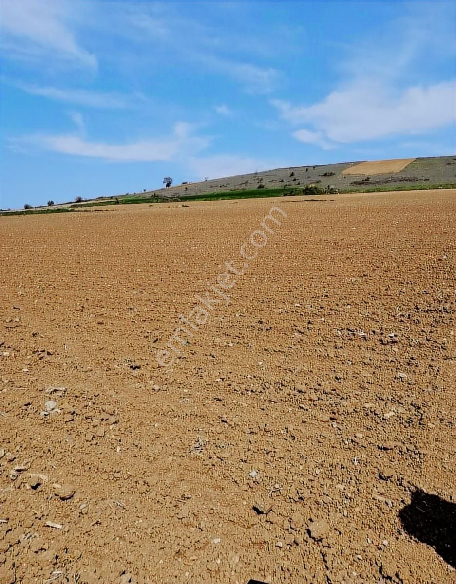 K2 Pera Bursa Yenişehir Cihadiye Tek Tapu 2010 M² Resmi Yol - Görsel 2