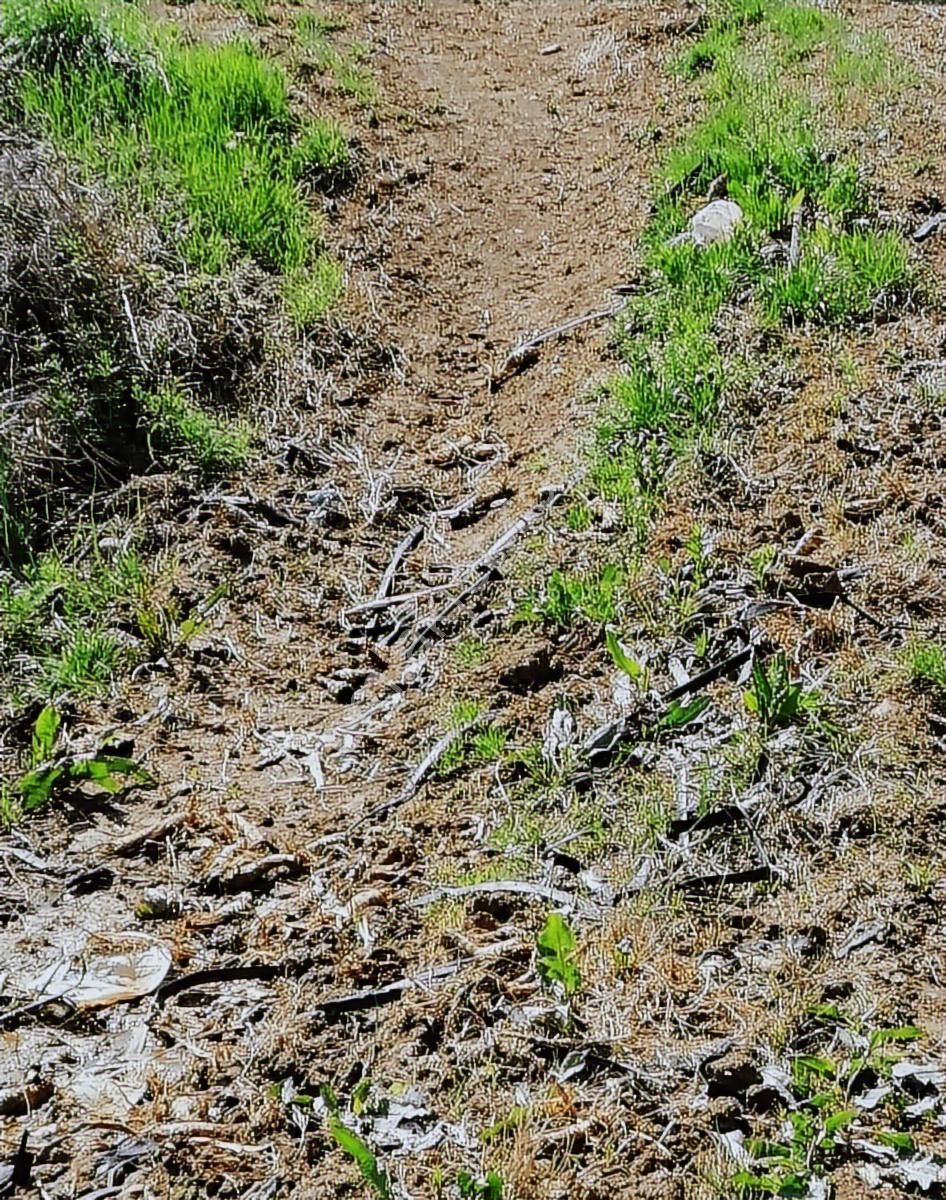 K2 Pera Bursa Yenişehir Cihadiye Tek Tapu 2010 M² Resmi Yol - Görsel 18