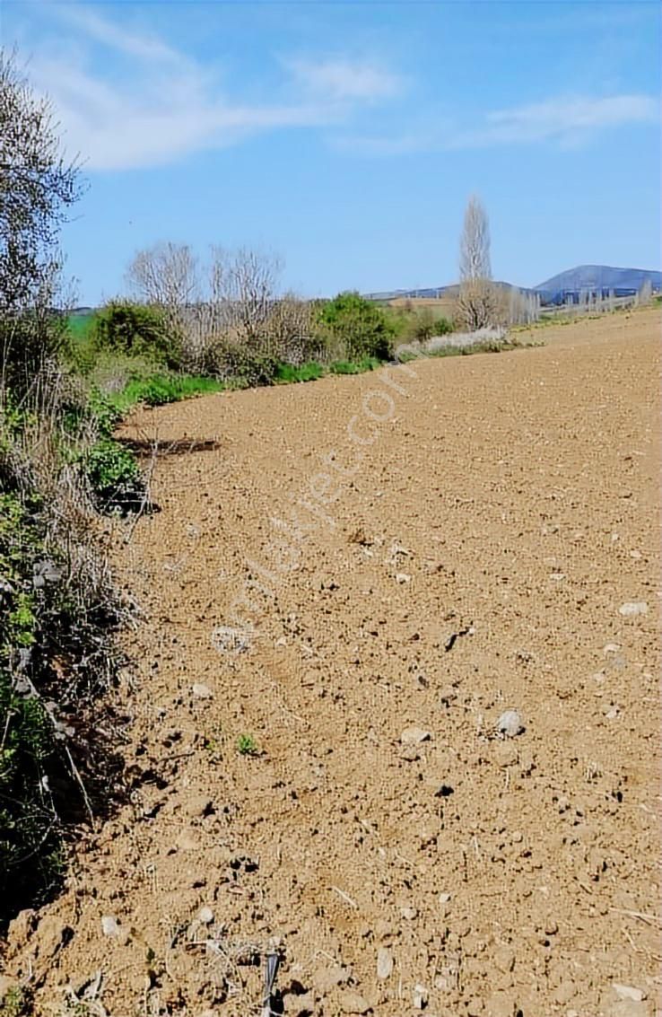 K2 Pera Bursa Yenişehir Cihadiye Tek Tapu 2010 M² Resmi Yol - Görsel 3