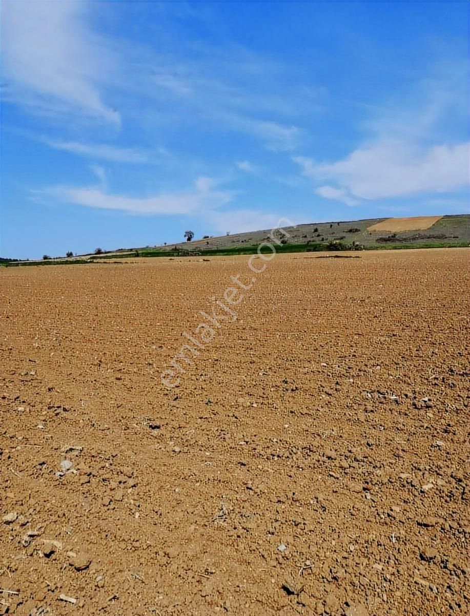 K2 Pera Bursa Yenişehir Cihadiye Tek Tapu 2010 M² Resmi Yol - Görsel 16