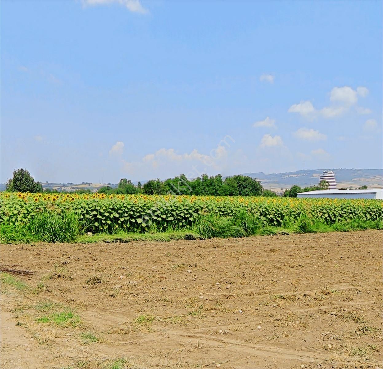 K2 Pera Bursa İnegöl Yeniceköy Tek Tapu 4050 M² - Görsel 13