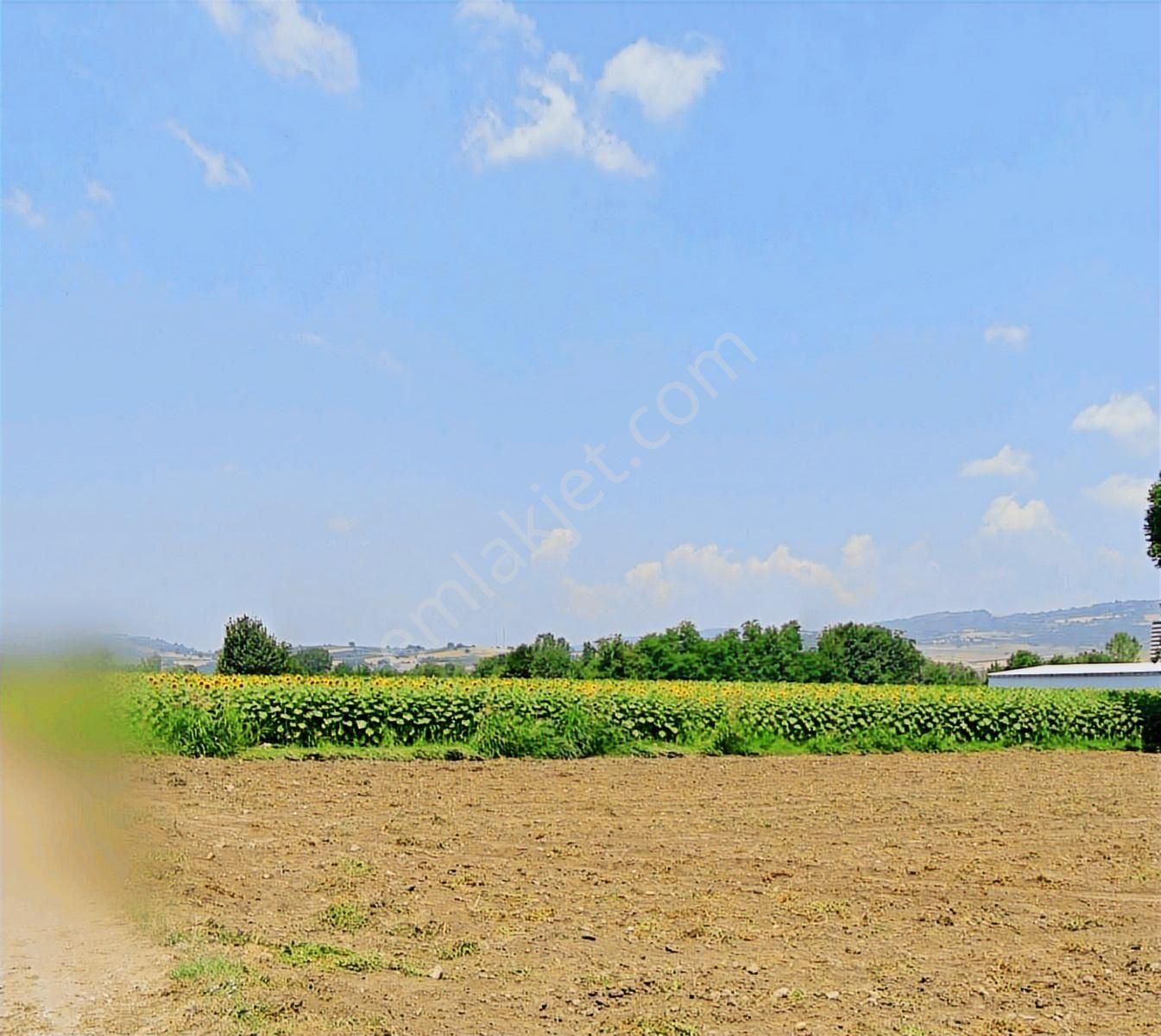 K2 Pera Bursa İnegöl Yeniceköy Tek Tapu 4050 M² - Görsel 16