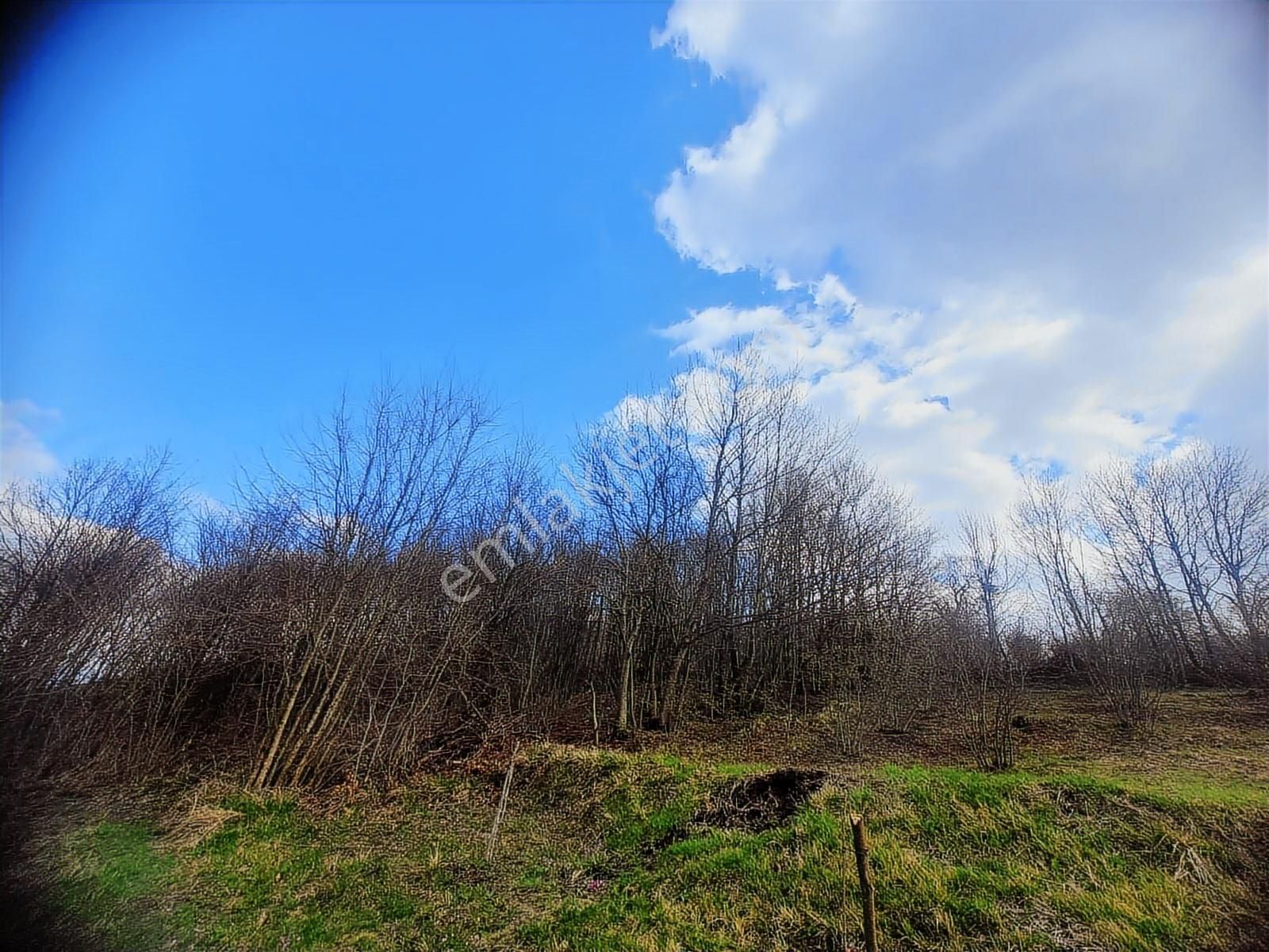 Dağyoncalı'da Mükemmel Manzara - Görsel 2