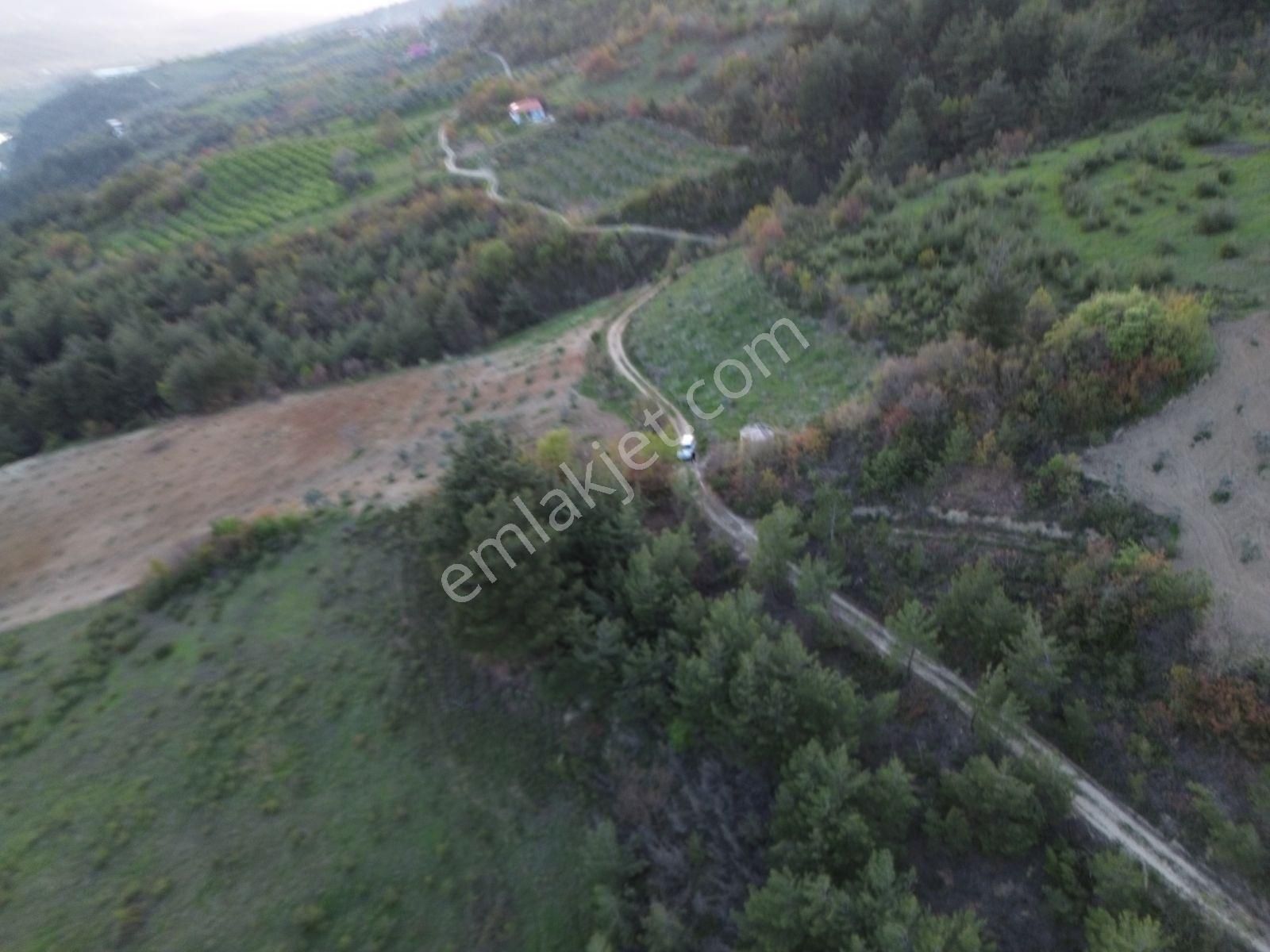 Uygun Fiyatlı Geyve Güneyde - Görsel 2