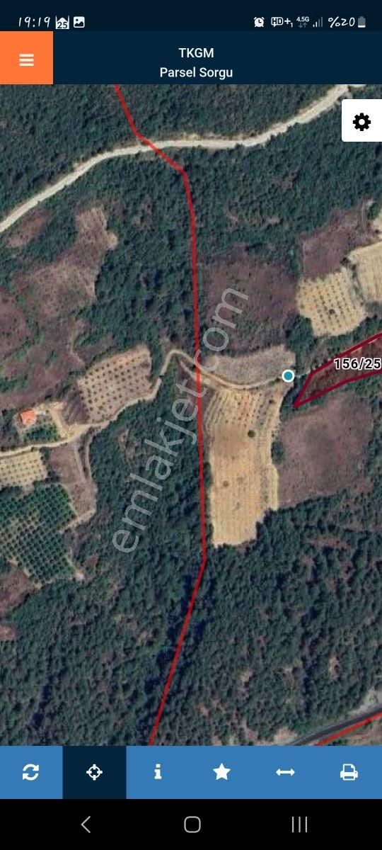 Uygun Fiyatlı Geyve Güneyde - Görsel 4