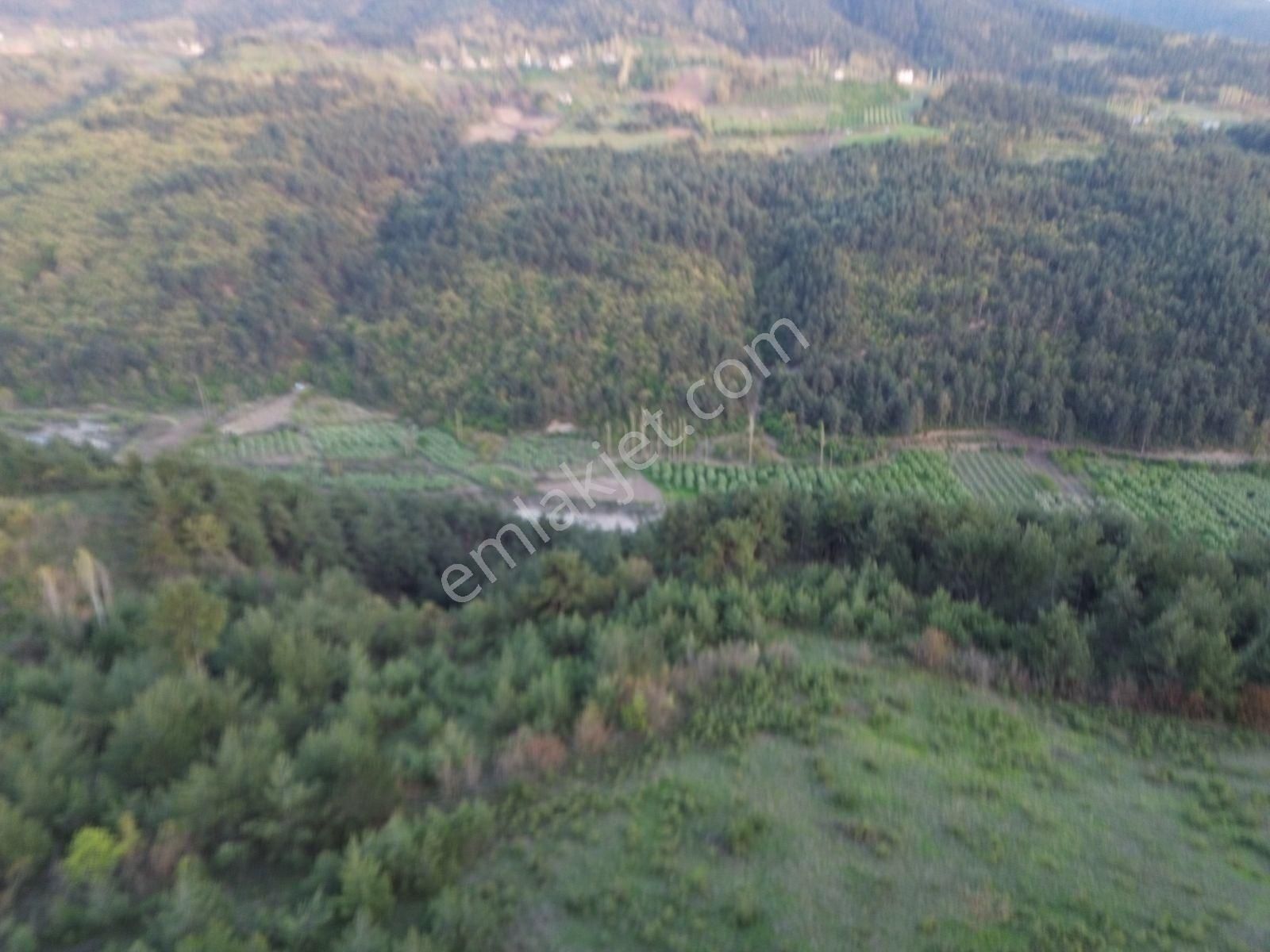 Uygun Fiyatlı Geyve Güneyde - Görsel 13