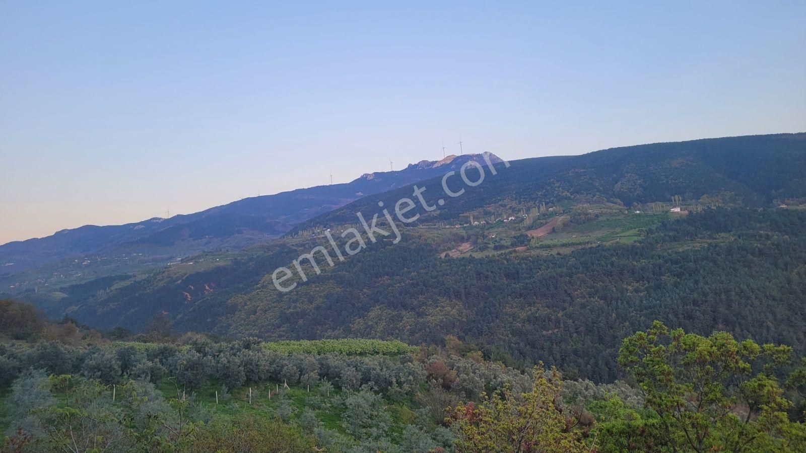 Uygun Fiyatlı Geyve Güneyde - Görsel 12