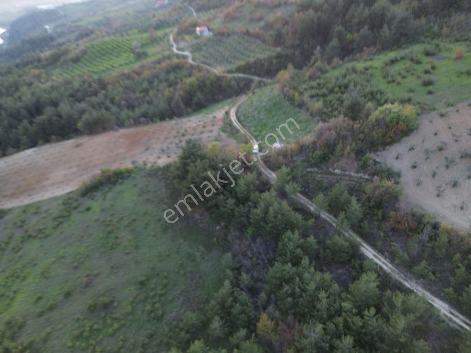 Uygun Fiyatlı Geyve Güneyde - Görsel 14