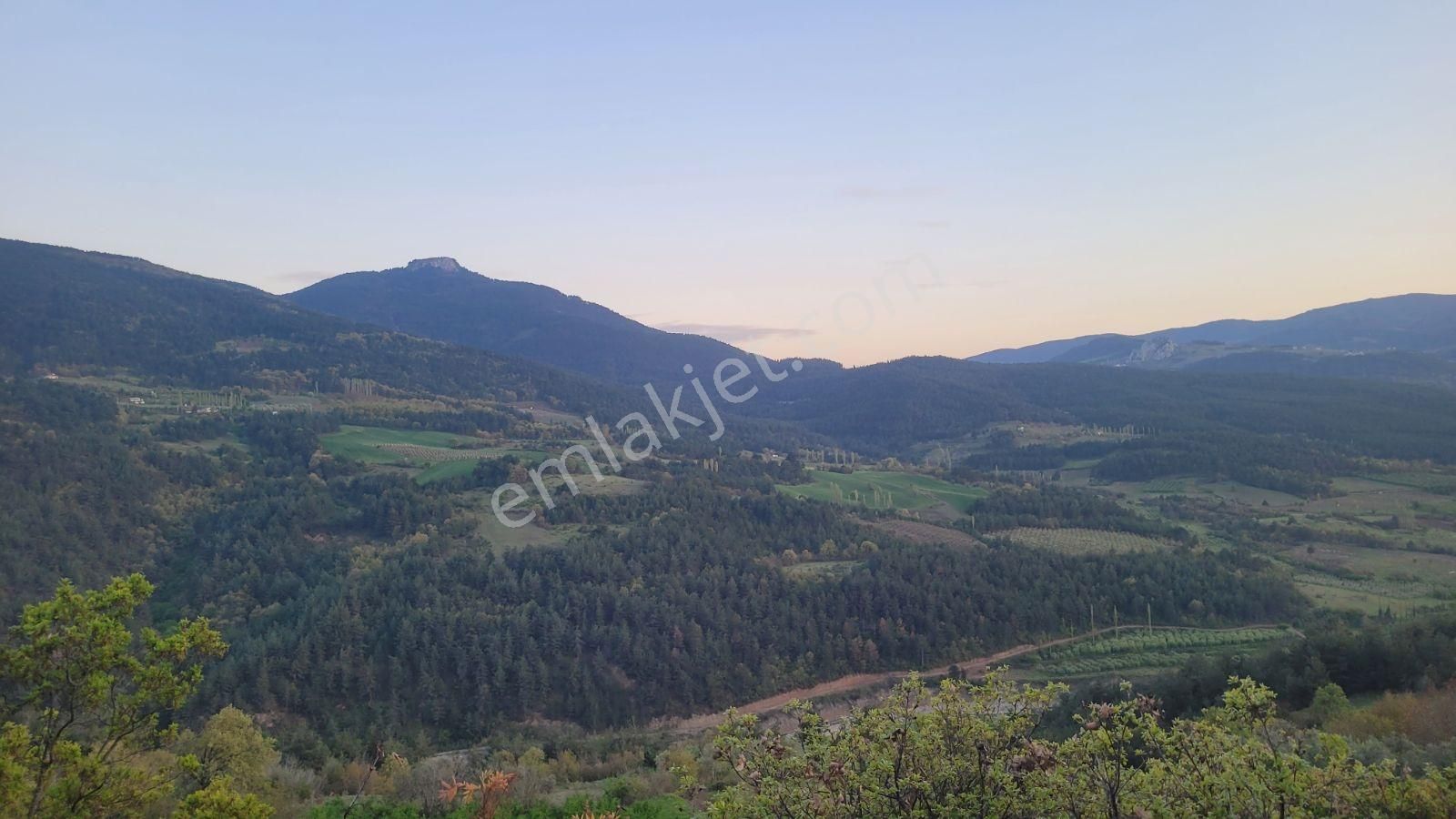 Uygun Fiyatlı Geyve Güneyde - Görsel 10