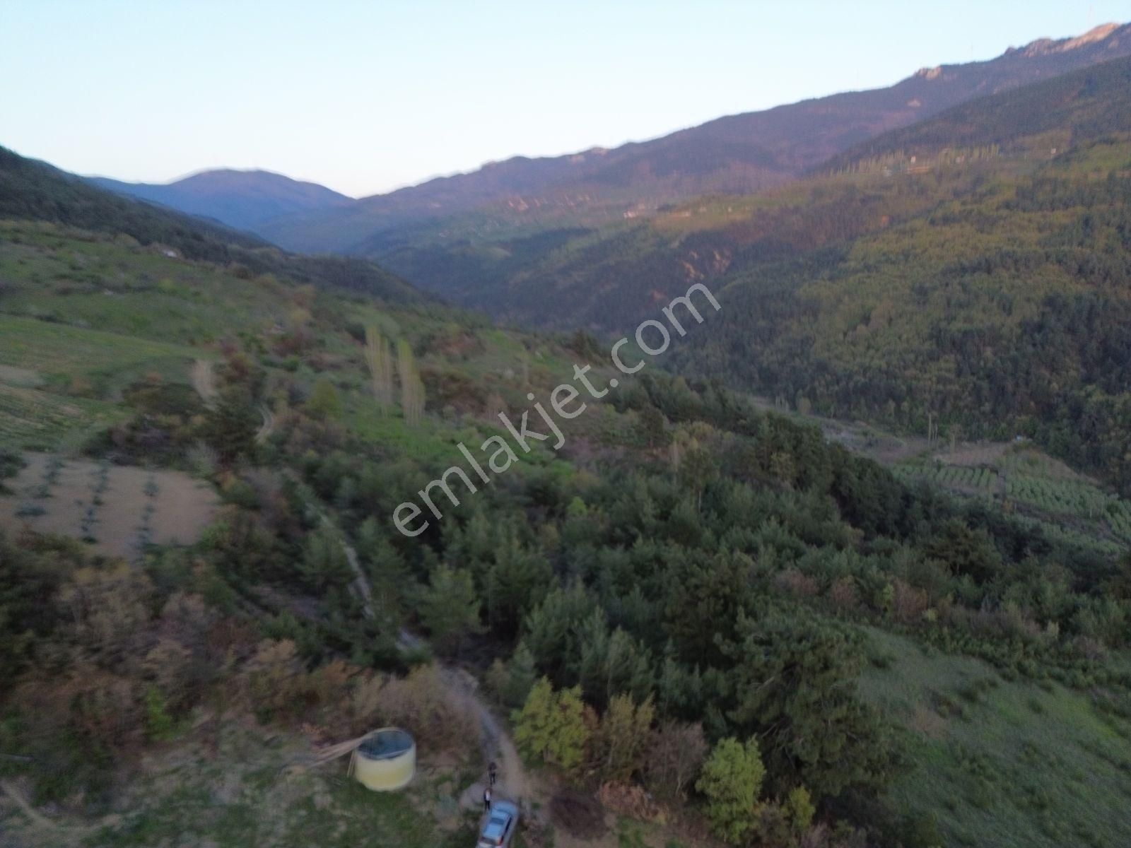 Uygun Fiyatlı Geyve Güneyde - Görsel 16