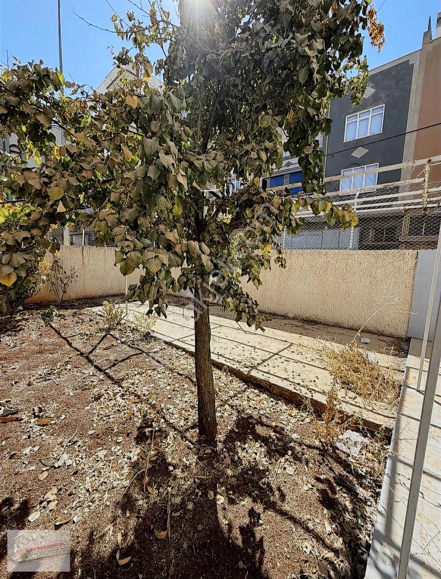 Üniversite Emlaktan Satılık Müstakil Bahçeli Ev - Görsel 2