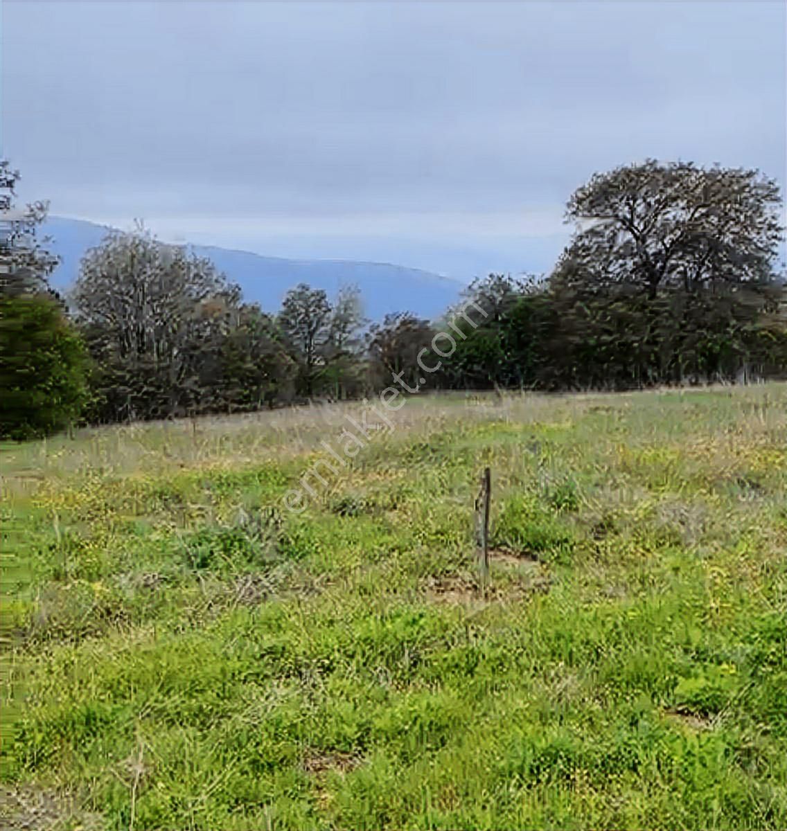 K2 Pera Bursa Yenişehir Osmaniy Yatırım Fırsatı 5057 M² Tek Tapu - Görsel 9