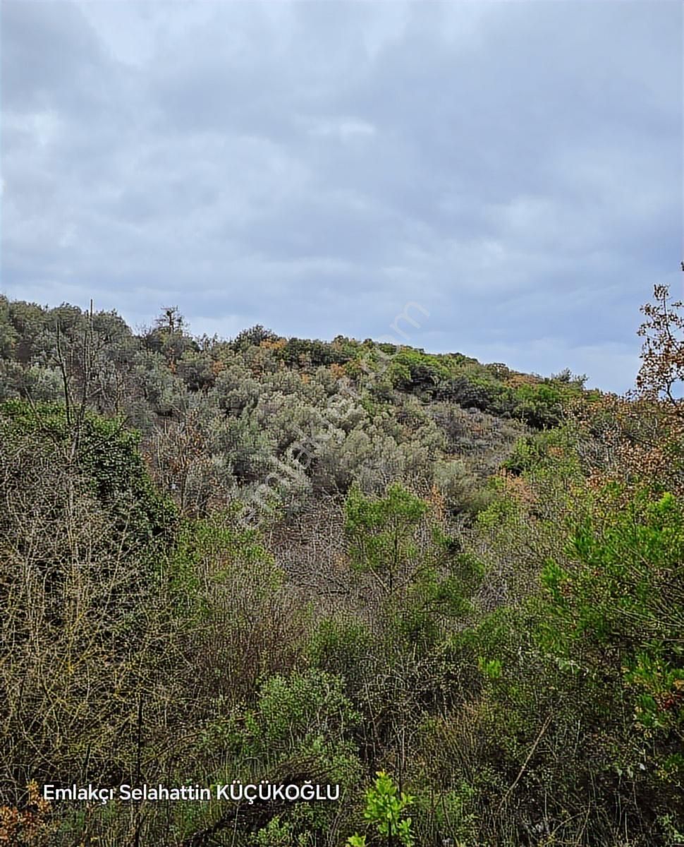 K2 Pera Bursa Mudanya Kumyaka 943 M² Yatırımlık Tek Tapu - Görsel 6