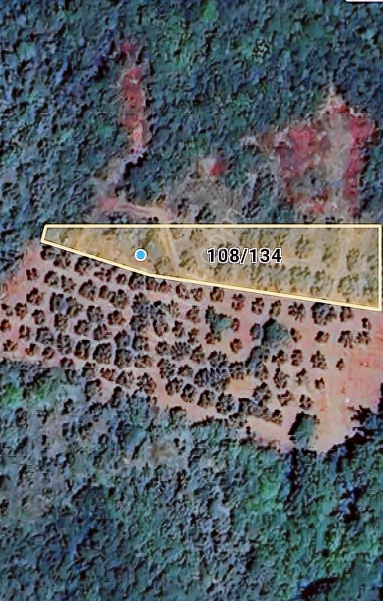 K2 Pera Bursa Mudanya Kumyaka 943 M² Yatırımlık Tek Tapu - Görsel 12