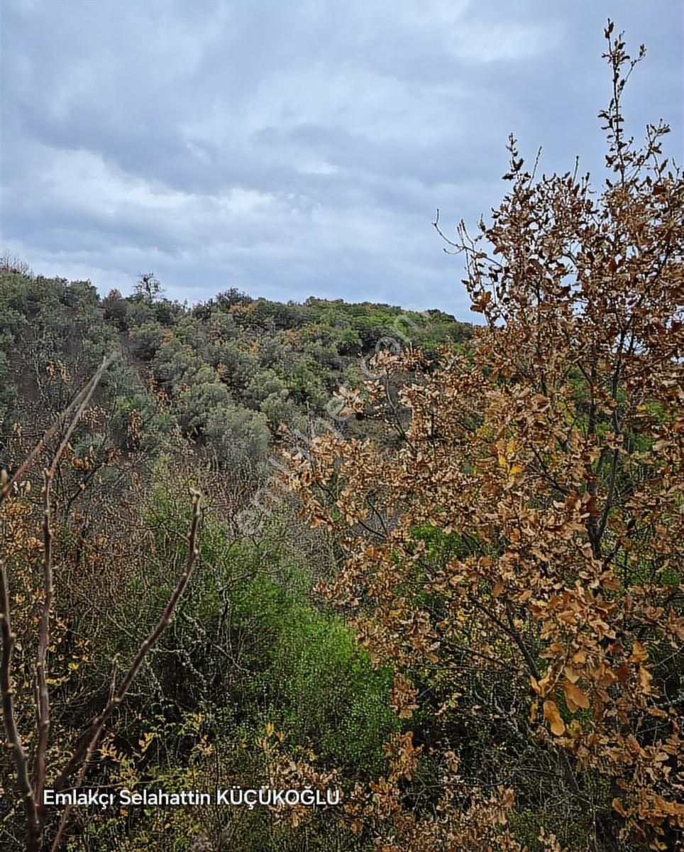 K2 Pera Bursa Mudanya Kumyaka 943 M² Yatırımlık Tek Tapu - Görsel 7