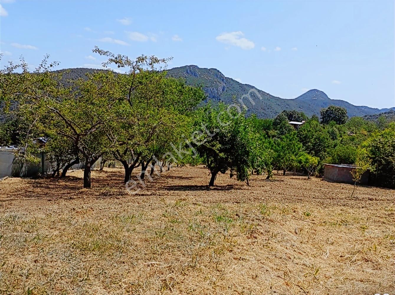 K2 Pera Satılık Hobi & Meyve Bahçesi Kestel Derekızık 2865 M²