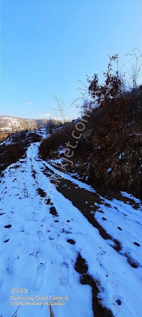 K2 Pera İnegöl Hayriye Yatırımlık 6881 M2 Tek Tapu - Görsel 13