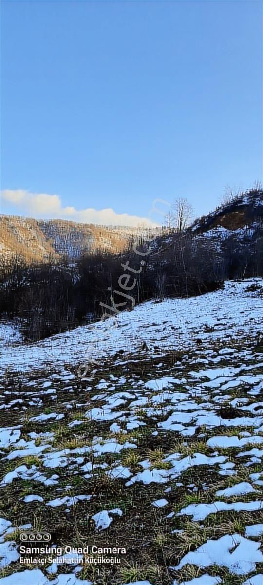 K2 Pera İnegöl Hayriye Yatırımlık 6881 M2 Tek Tapu - Görsel 8