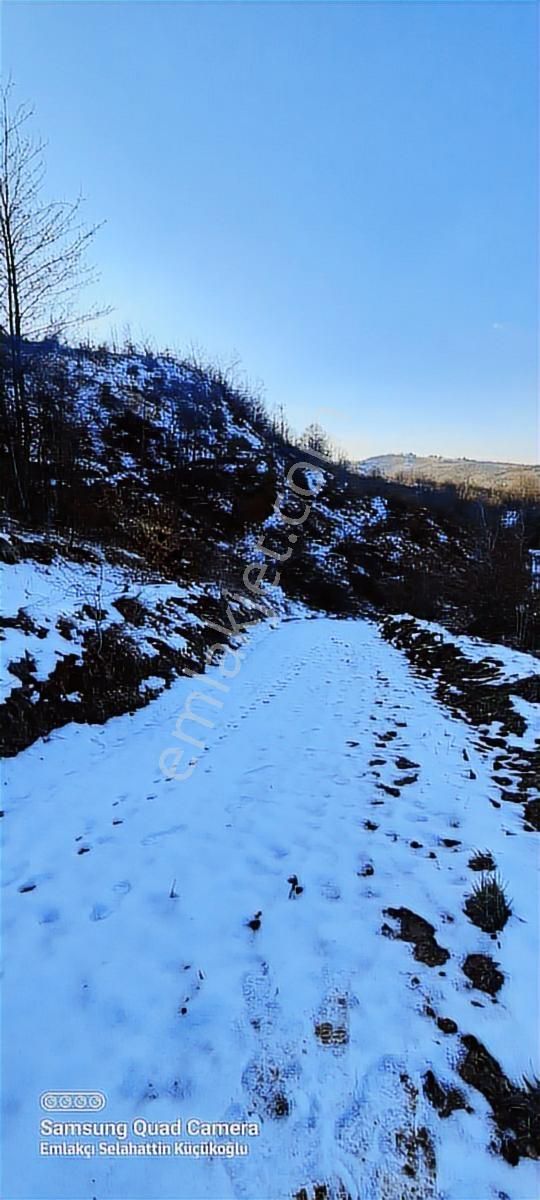 K2 Pera İnegöl Hayriye Yatırımlık 6881 M2 Tek Tapu - Görsel 12