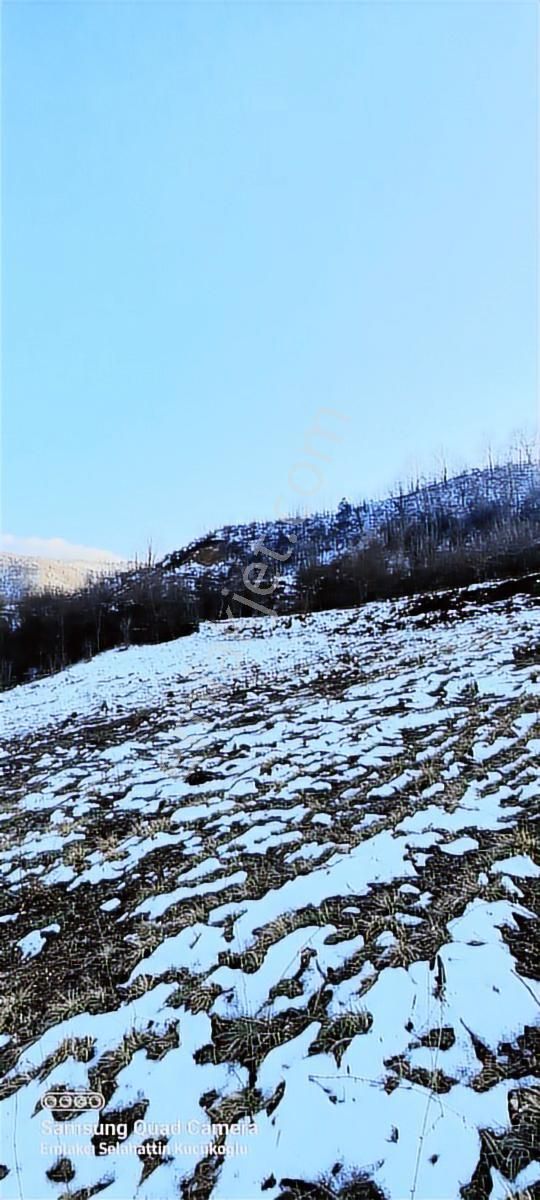 K2 Pera İnegöl Hayriye Yatırımlık 6881 M2 Tek Tapu - Görsel 7