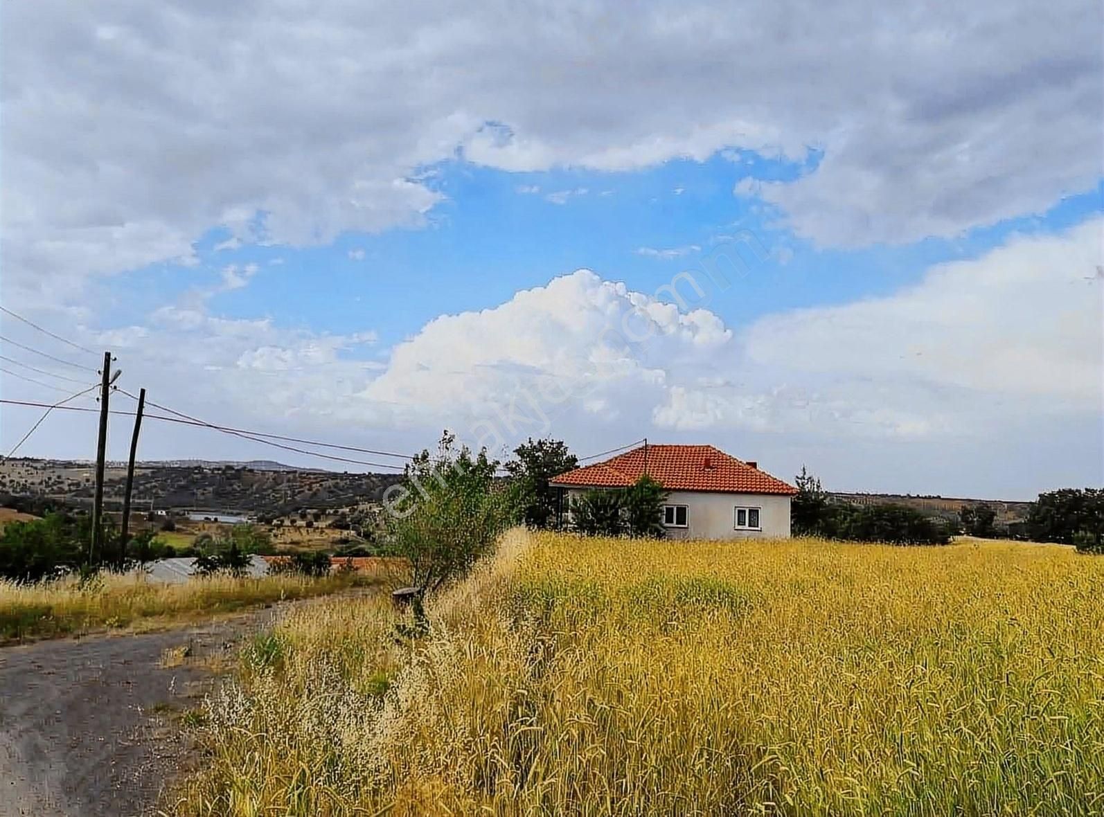 Anayol Üzeri Satılık 40000 M2 Çiftlik - Görsel 3