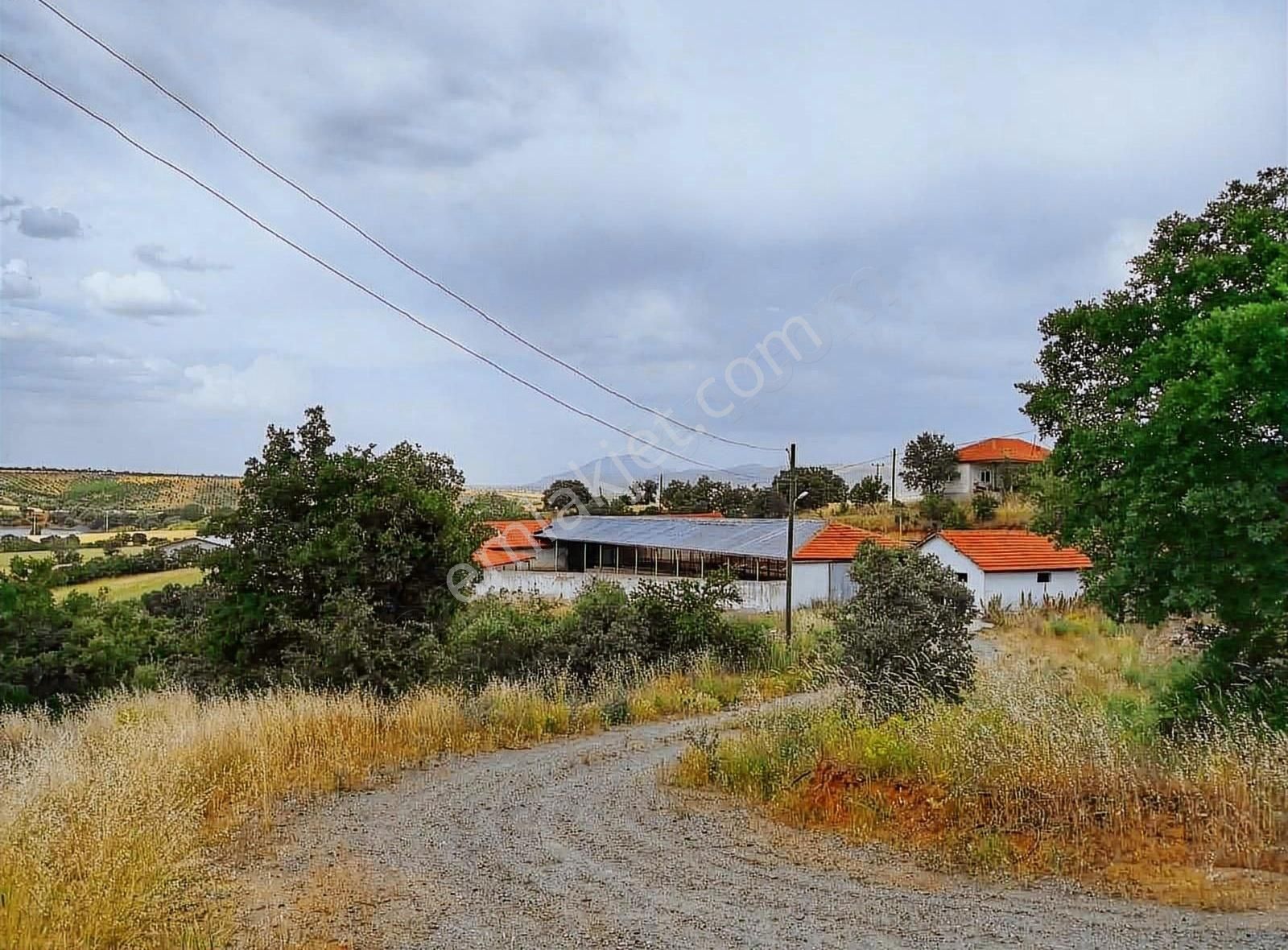 Anayol Üzeri Satılık 40000 M2 Çiftlik - Görsel 15