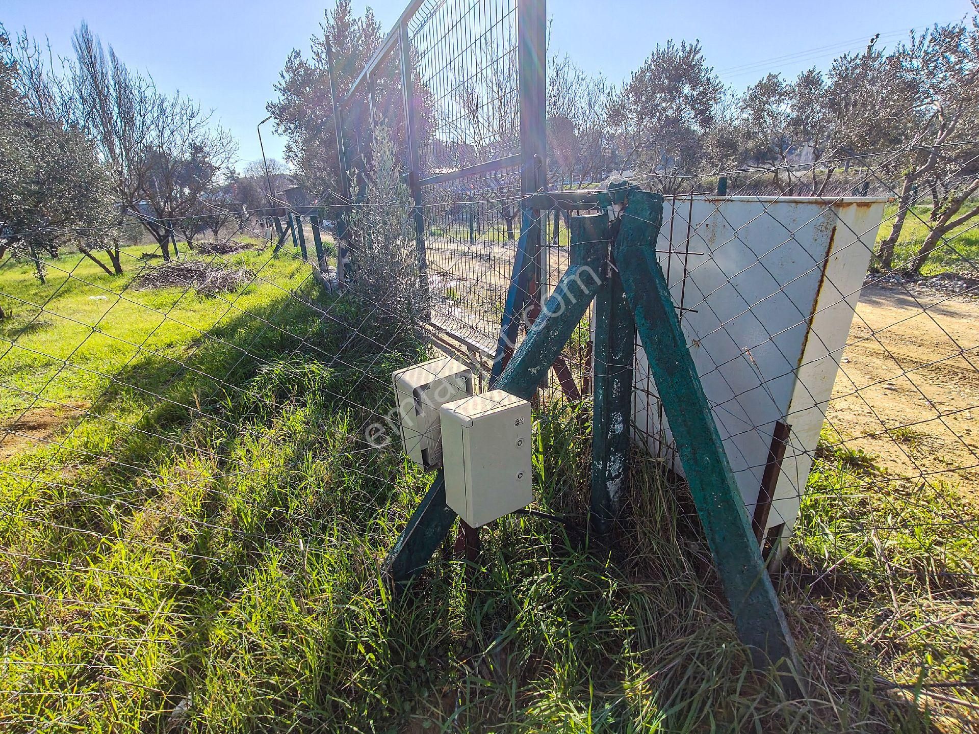 Uygun Fiyata Müstakil Yaşam Fırsatı | Ev+arsa+elektrik+su - Görsel 4