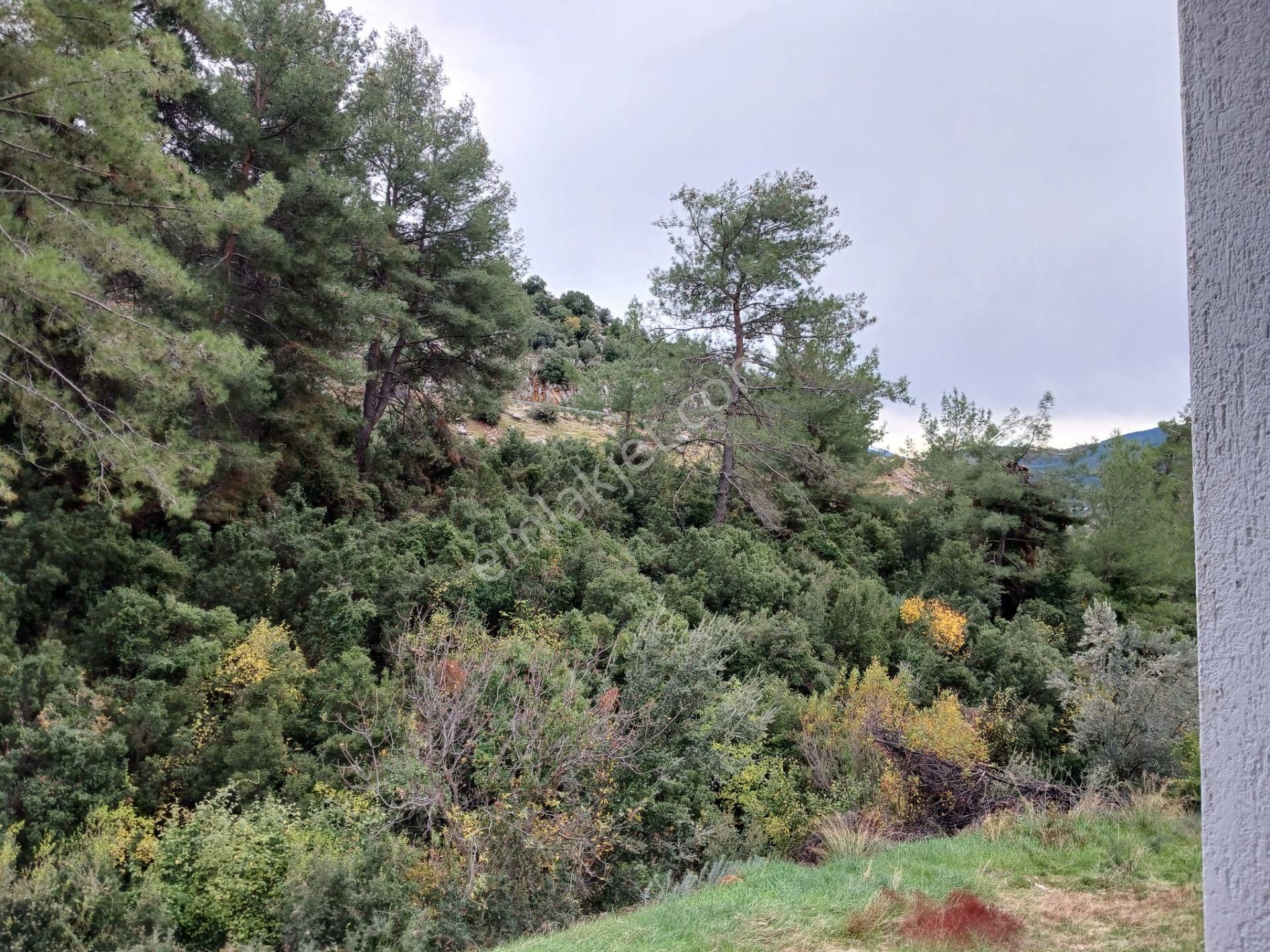 Fethiye Üzümlü Özel Konum, Nakil Sebebiyle 845 M2 Arsa İçinde Müstakil Ev - Görsel 10