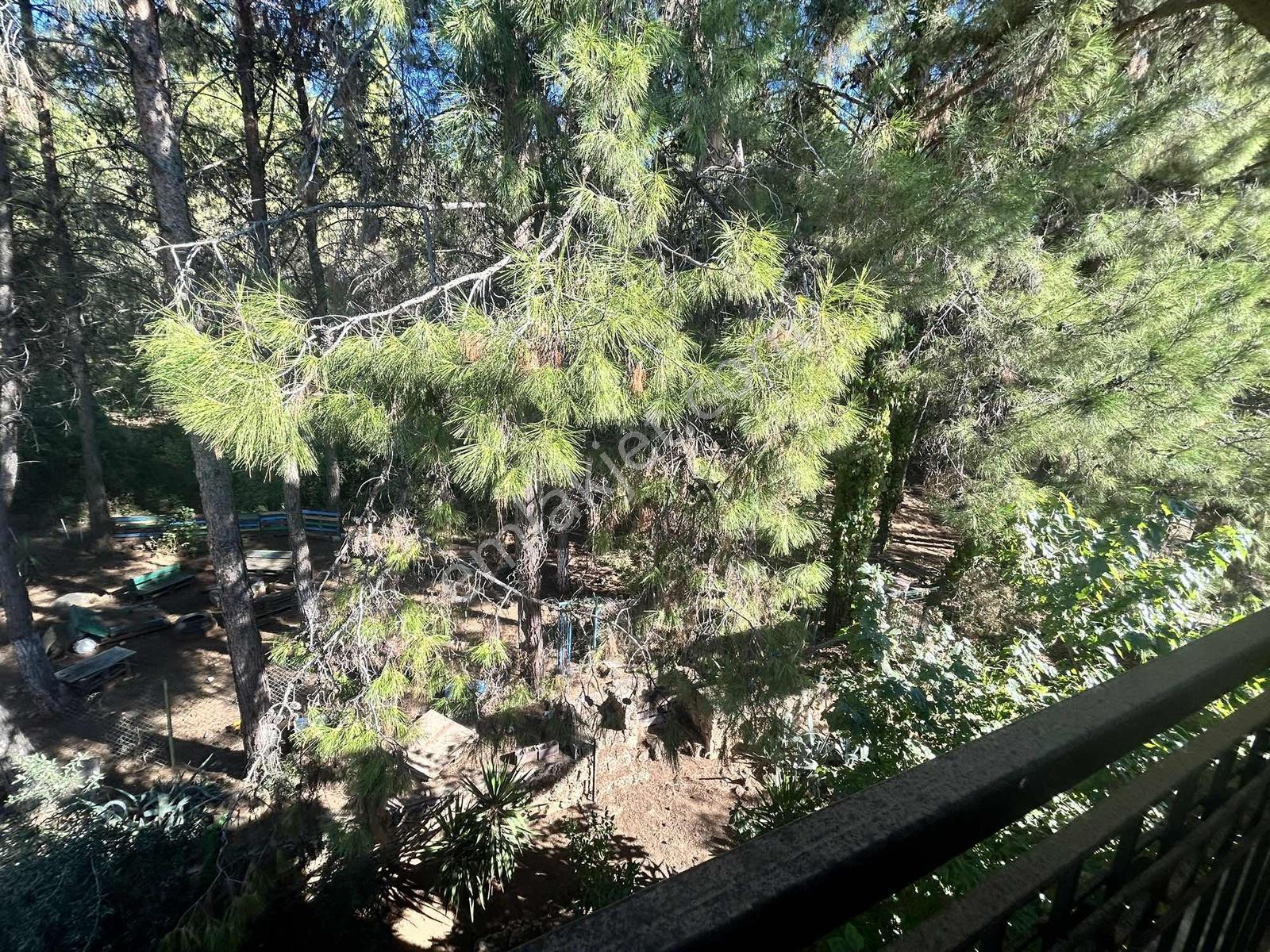 Duacı'da Kiralık Villa Orman İçi Şehir Hast. Üst Tarafı - Görsel 29