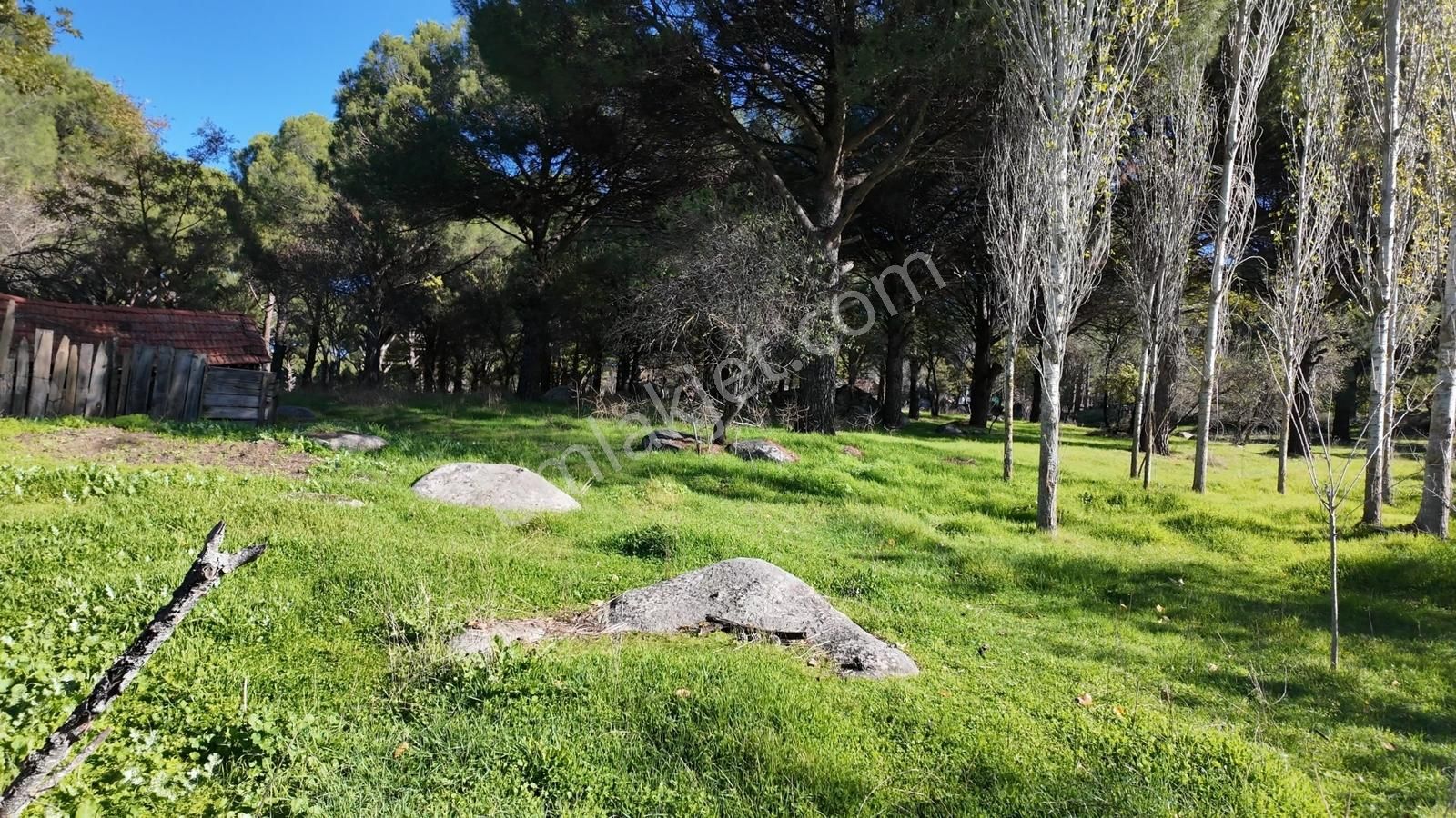 Kozak Karaveliler Satılık İmarlı Arsa (5650 M2) - Görsel 7