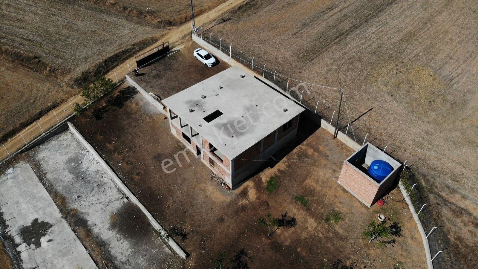 Samsun Vezirköprü'de 17.5 Dönüm 600 Ağaçlı Ceviz Bahçesi Satılık - Görsel 4