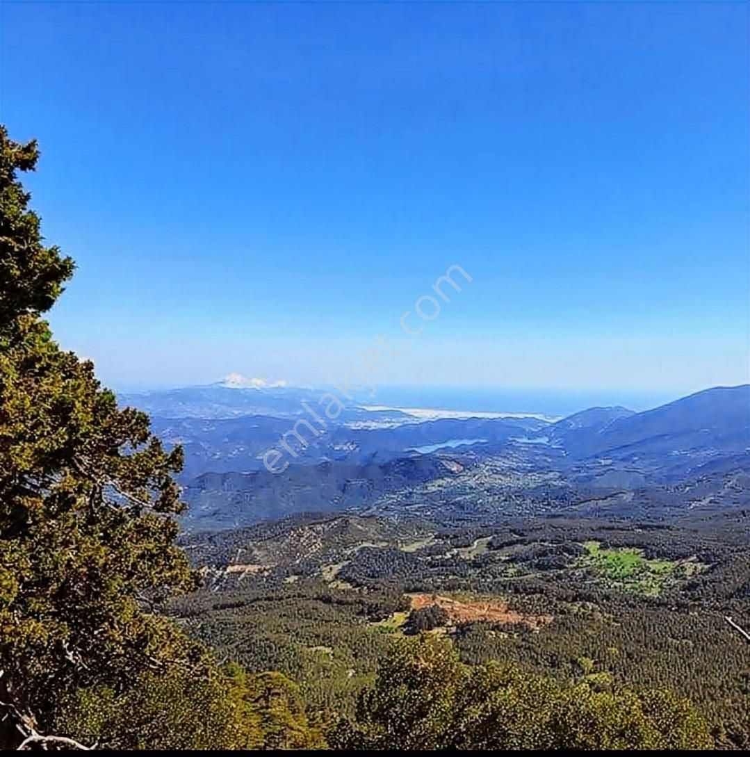 Kumluca Karacaörende Satılık Tek Tapu 2404 M² Tarla - Görsel 2