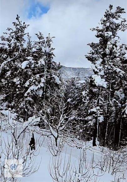 **nova** Demirışık'ta 956 M2 Arsa İçerisinde Satılık Müstakil - Görsel 14