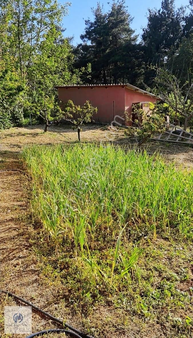 **nova** Demirışık'ta 956 M2 Arsa İçerisinde Satılık Müstakil - Görsel 18