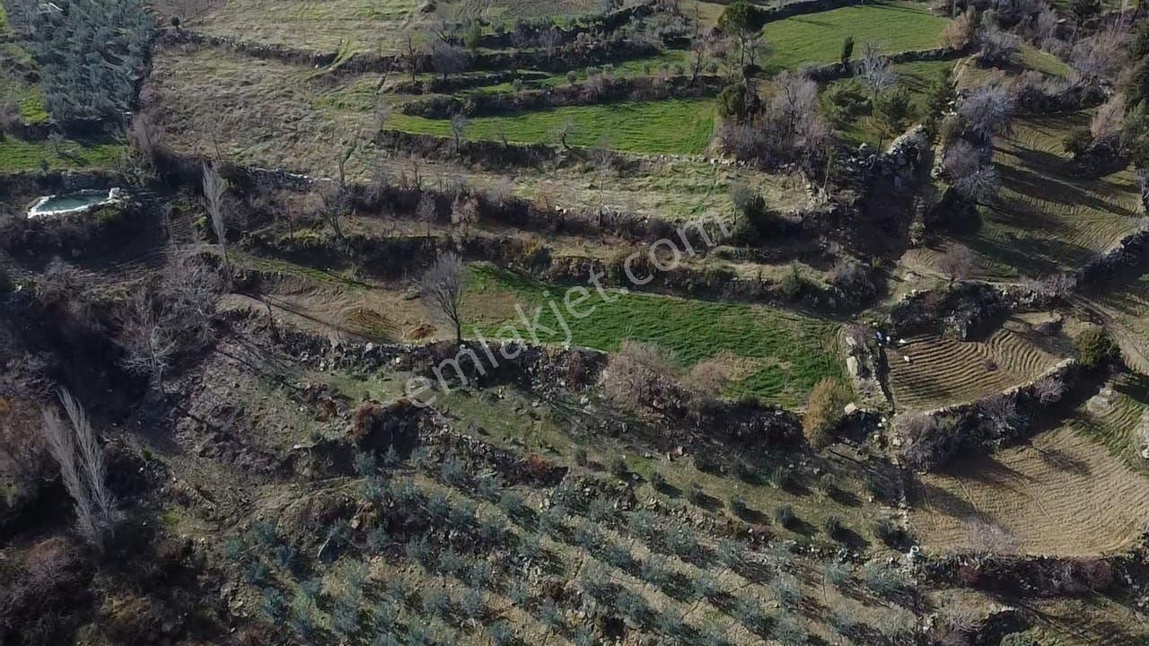 Dere'de 1033 M2 Müstakil Tapulu Yatırımlık Arazi - Görsel 12