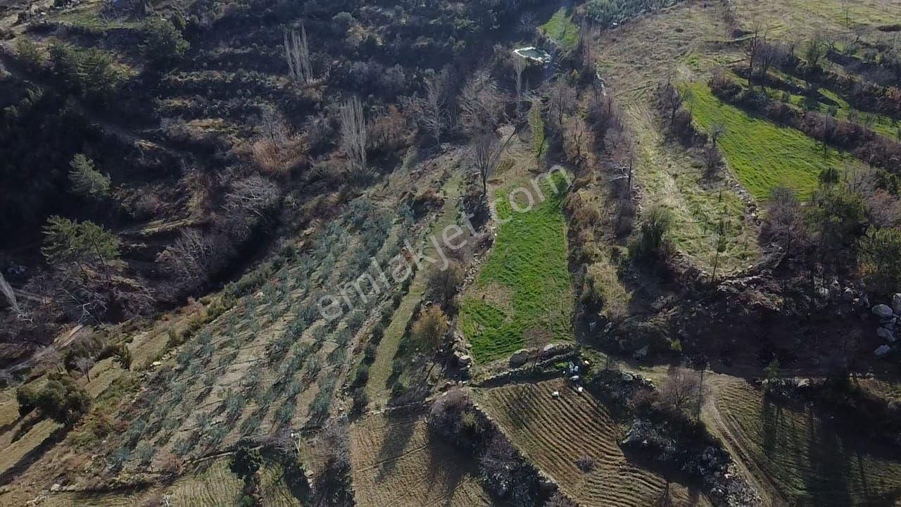 Dere'de 1033 M2 Müstakil Tapulu Yatırımlık Arazi - Görsel 3
