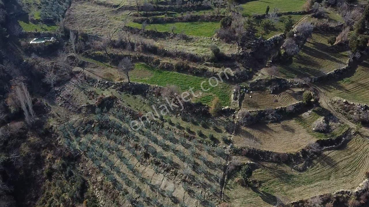 Dere'de 1033 M2 Müstakil Tapulu Yatırımlık Arazi - Görsel 17