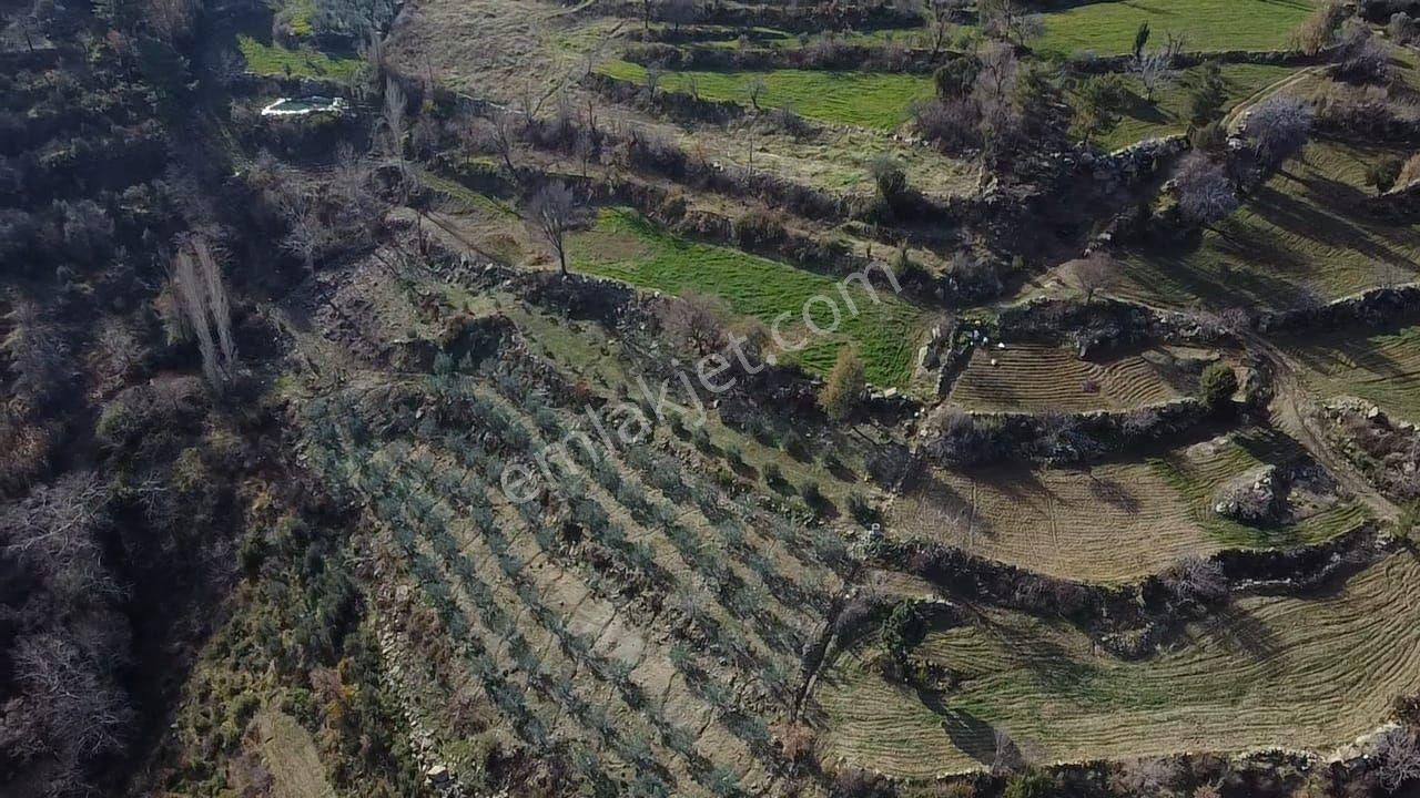 Dere'de 1033 M2 Müstakil Tapulu Yatırımlık Arazi - Görsel 24