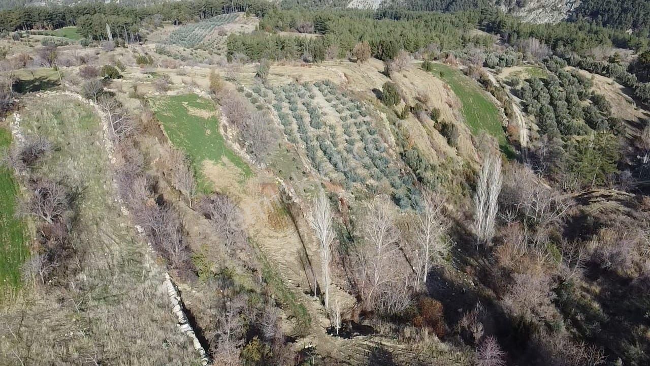 Dere'de 1033 M2 Müstakil Tapulu Yatırımlık Arazi - Görsel 13