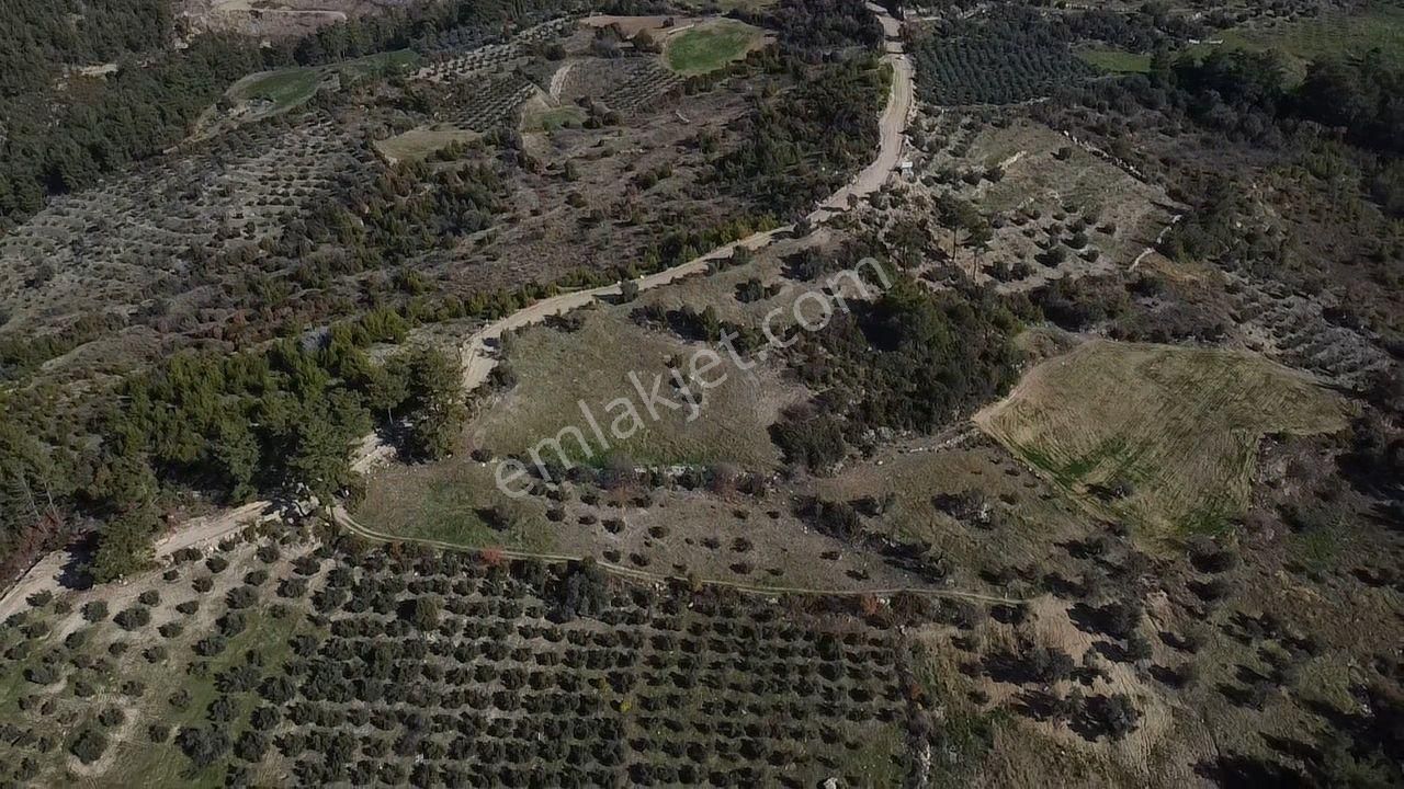 Çatak Mah. Kadastrol Yola Sıfır Büyük Yatırımlık Arazi - Görsel 13