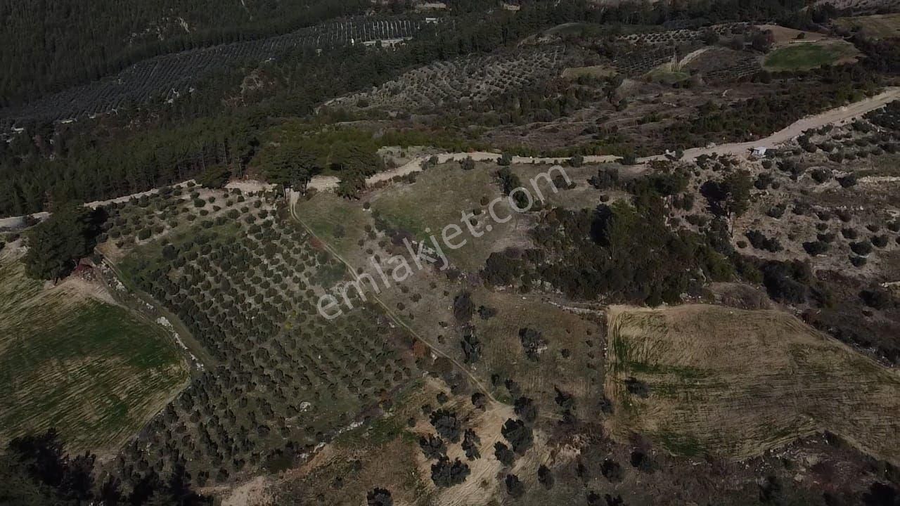 Çatak Mah. Kadastrol Yola Sıfır Büyük Yatırımlık Arazi - Görsel 5