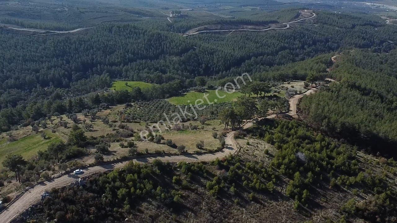Çatak Mah. Kadastrol Yola Sıfır Büyük Yatırımlık Arazi - Görsel 3