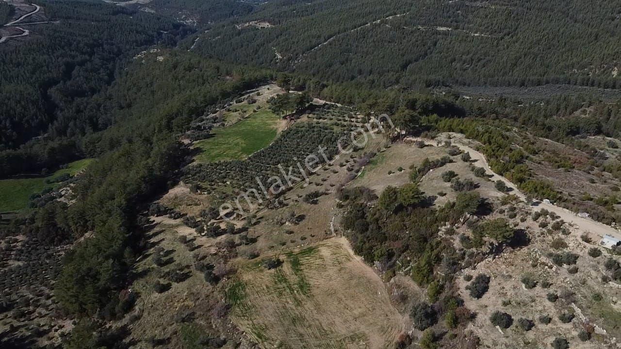 Çatak Mah. Kadastrol Yola Sıfır Büyük Yatırımlık Arazi - Görsel 7