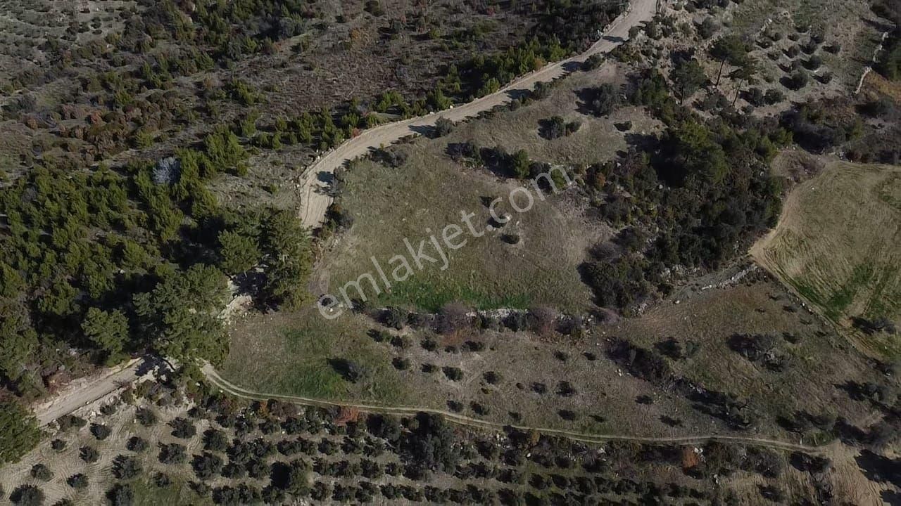 Çatak Mah. Kadastrol Yola Sıfır Büyük Yatırımlık Arazi - Görsel 28