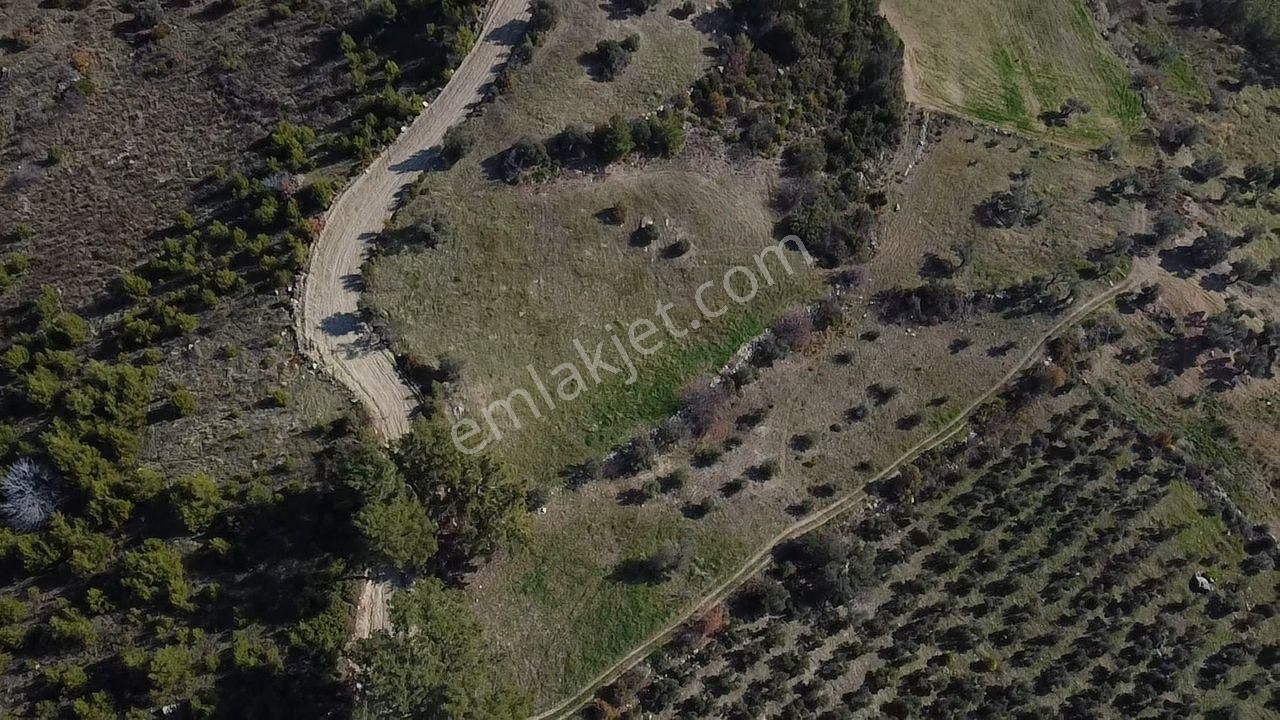 Çatak Mah. Kadastrol Yola Sıfır Büyük Yatırımlık Arazi - Görsel 11