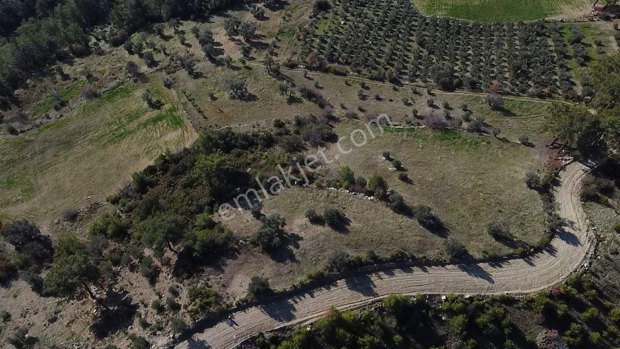 Çatak Mah. Kadastrol Yola Sıfır Büyük Yatırımlık Arazi - Görsel 19