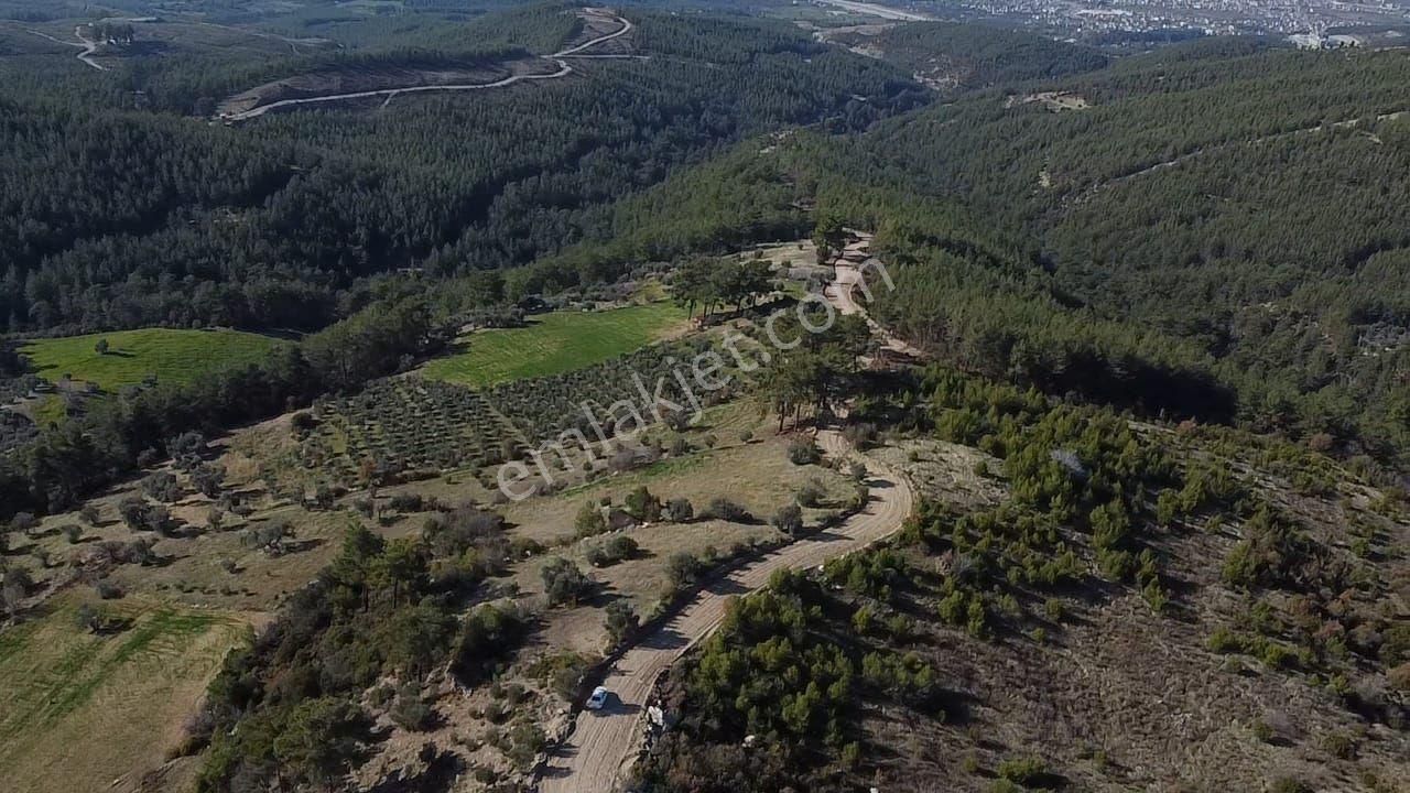 Çatak Mah. Kadastrol Yola Sıfır Büyük Yatırımlık Arazi - Görsel 20