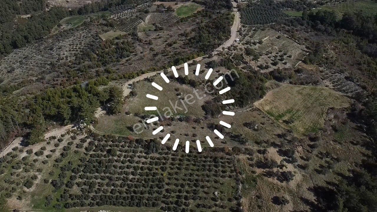 Çatak Mah. Kadastrol Yola Sıfır Büyük Yatırımlık Arazi - Görsel 2