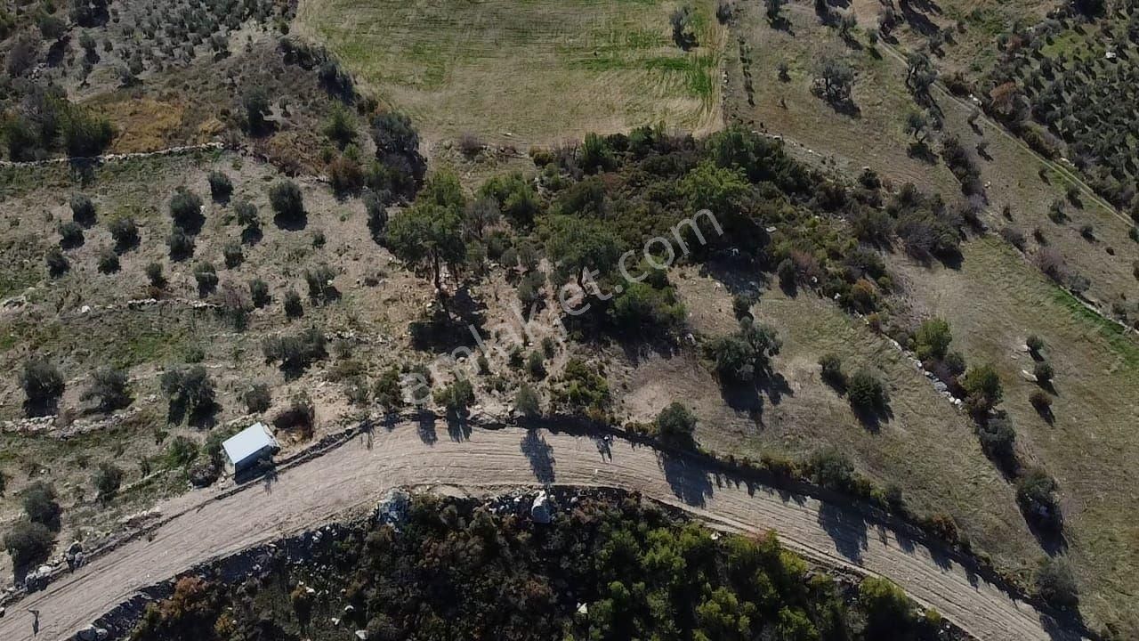 Çatak Mah. Kadastrol Yola Sıfır Büyük Yatırımlık Arazi - Görsel 25